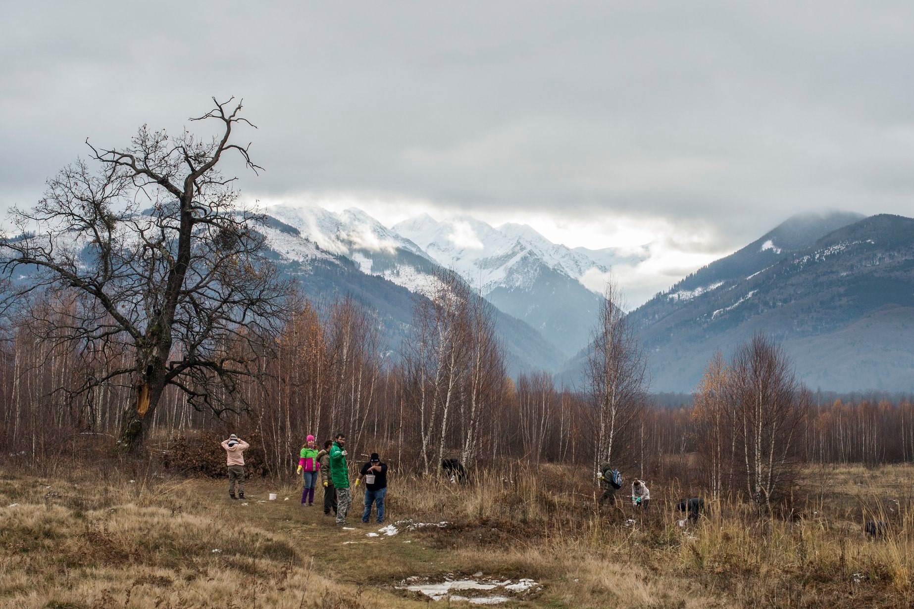 Arpasu Ingrijire 2019 9